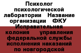 Психолог психологической лаборатории › Название организации ­ ФКУ "Исправительная колония № 9 управления федеральной службы исполнения наказаний по новгородской области", Некоммерческая организация › Отрасль предприятия ­ Государственная служба › Минимальный оклад ­ 12 400 - Все города Работа » Вакансии   . Мурманская обл.,Оленегорск г.